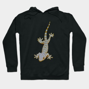 Tokay Gecko Hoodie